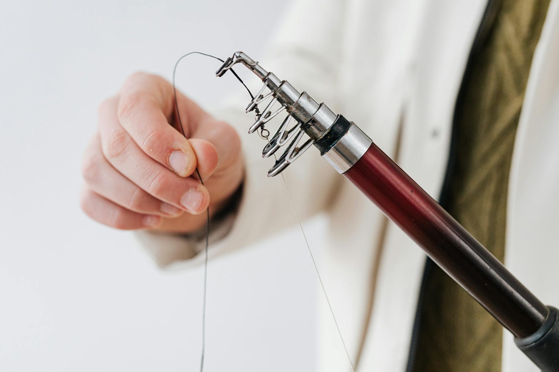 Spinning reel close-up showing drag system and spool design